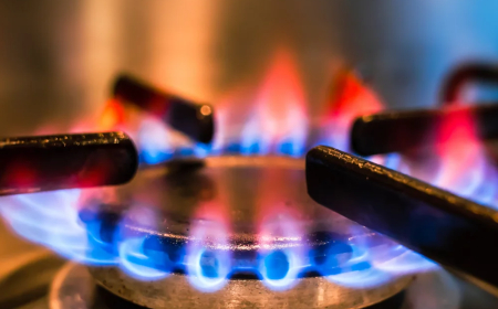 ଏଣିକି ଆଉ ଖୋଲା ବଜାରରେ ମିଳିବନି ଗ୍ୟାସ୍