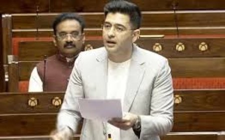 ଆପ୍ ଛାଡ଼ି ବିଜେପିରେ ମିଶିଲେ ରାଘବ ଚଢା