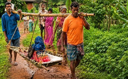 ପୁଣି ସାମ୍ନାକୁ ଆସିଲା ଜନନୀ ଯନ୍ତ୍ରଣା! ୨ କି.ମି. ଖଟିଆରେ ବୁହାହେଲେ ମା’ ଓ ଛୁଆ !