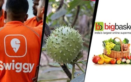 ଖାଦ୍ୟ ଭାବେ ''ଦୁଦୁରା'' ବିକ୍ରି : ଆମାଜନ୍, ସ୍ବିଗି ଇନଷ୍ଟାମାର୍ଟ ଫୁଡ୍ ଲାଇସେନ୍ସ ରଦ୍ଦ