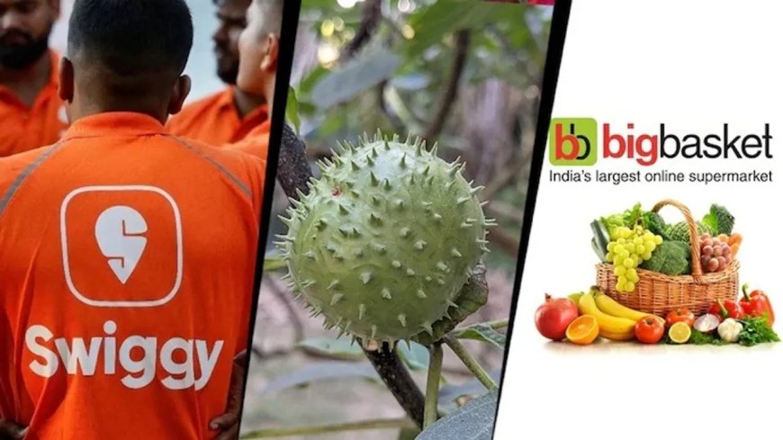 ଖାଦ୍ୟ ଭାବେ ''ଦୁଦୁରା'' ବିକ୍ରି : ଆମାଜନ୍, ସ୍ବିଗି ଇନଷ୍ଟାମାର୍ଟ ଫୁଡ୍ ଲାଇସେନ୍ସ ରଦ୍ଦ