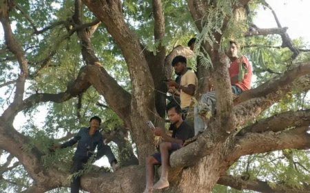 ଖଣିର ପ୍ରାଚୁର୍ଯ୍ୟ ଭିତରେ ଦରିିଦ୍ର ଗାଁ, ନେଟୱର୍କ ନଥିବାରୁ ବାହ୍ୟଜଗତରୁ ବିଛିନ୍ନ
