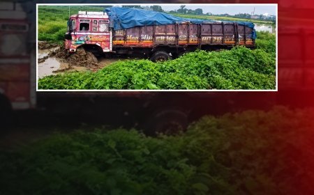 ବାଘମାରୀରେ ଭୟଙ୍କର ଦୁର୍ଘଟଣା! ବିଲ ଭିତରକୁ ପଶିଗଲା ସିମେଣ୍ଟ ବୋଝେଇ ଟ୍ରକ୍