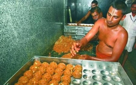 ତିରୁପତି ଲଡ଼ୁ ଘିଅରେ ପାମ୍ ଅଏଲ୍! ଇଡି ଜାଲରେ ଫୁଡ୍ସ ପ୍ରମୋଟର