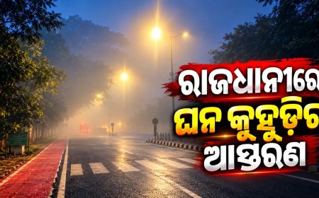ଶୀତ ଆସିନି, ରାଜଧାନୀରେ ଘନ କୁହୁଡ଼ିର ଆସ୍ତରଣ