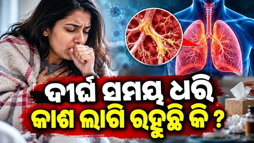 ଦୀର୍ଘ ସମୟ ଧରି ଲାଗି ରହିଥିବା କାଶକୁ ଅଣଦେଖା କରନ୍ତୁ ନାହିଁ : ହୋଇପାରେ ବିପଦ