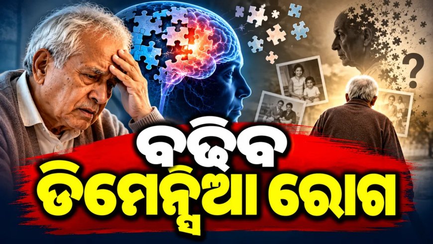 ୨୦୫୦ ସୁଦ୍ଧା ଦେଶରେ ବଢିବ ଭୁଲା ରୋଗ : ବିଶ୍ବ ଅଧ୍ୟୟନରୁ ରିପୋର୍ଟ ପ୍ରକାଶିତ